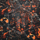 Scarecrows on Desert Tan .080"