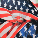 American Flag Full Color on White .080"