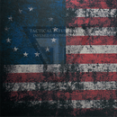 Betsy Ross Flag on Light Grey .080"