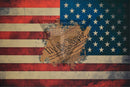 US Flag with We the People Version 2 (reduced logo size) on Desert Tan  .080