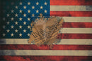 US Flag with We the People Version 2 (reduced logo size) on Desert Tan  .080