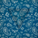 Paisley Pattern Blue Background on White .080"