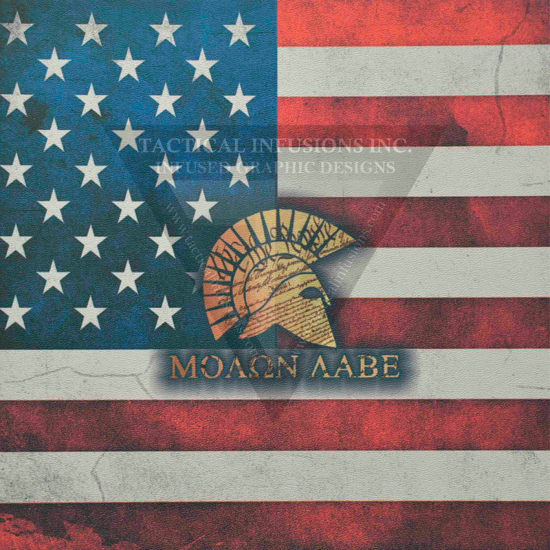 Spartan Molon Labe on Old Glory Flag on White .080