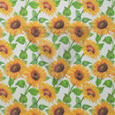 Sunflower White Background on White .080